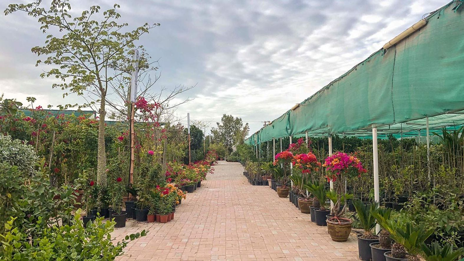 Sharjah Wasterwater Sewage Treatment Plant Qatra Sharjah